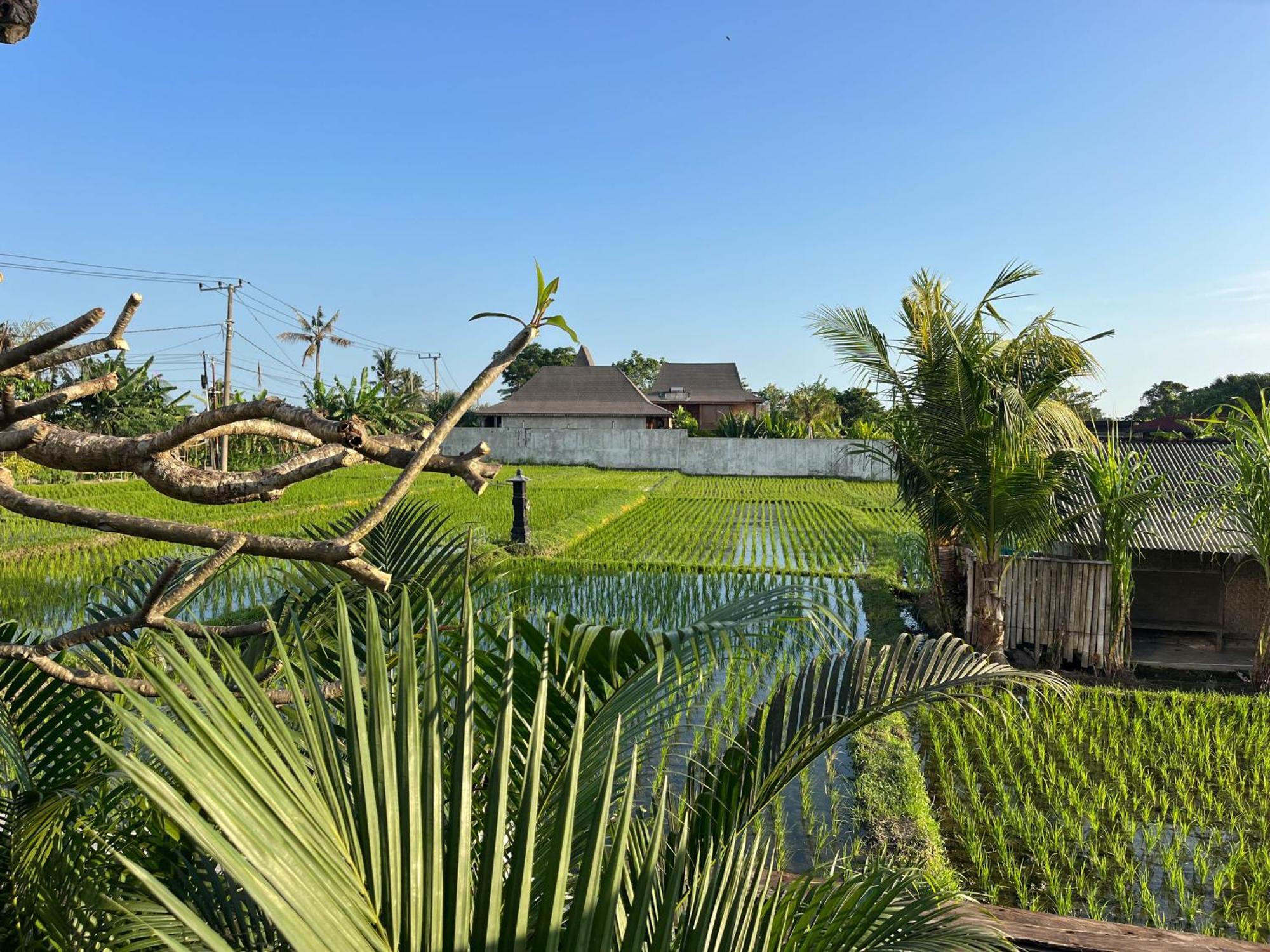 Unit Space Village Canggu  Exterior photo